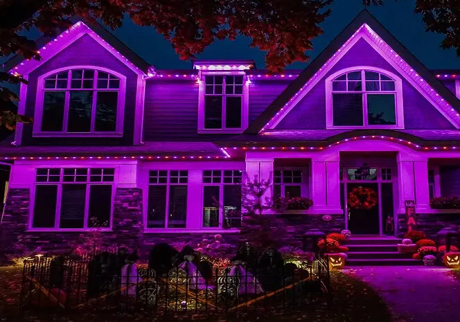 House washed in purple light from the roofline
